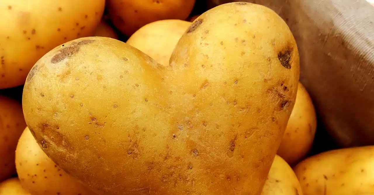 Pomme de terre coupée pour un soin beauté