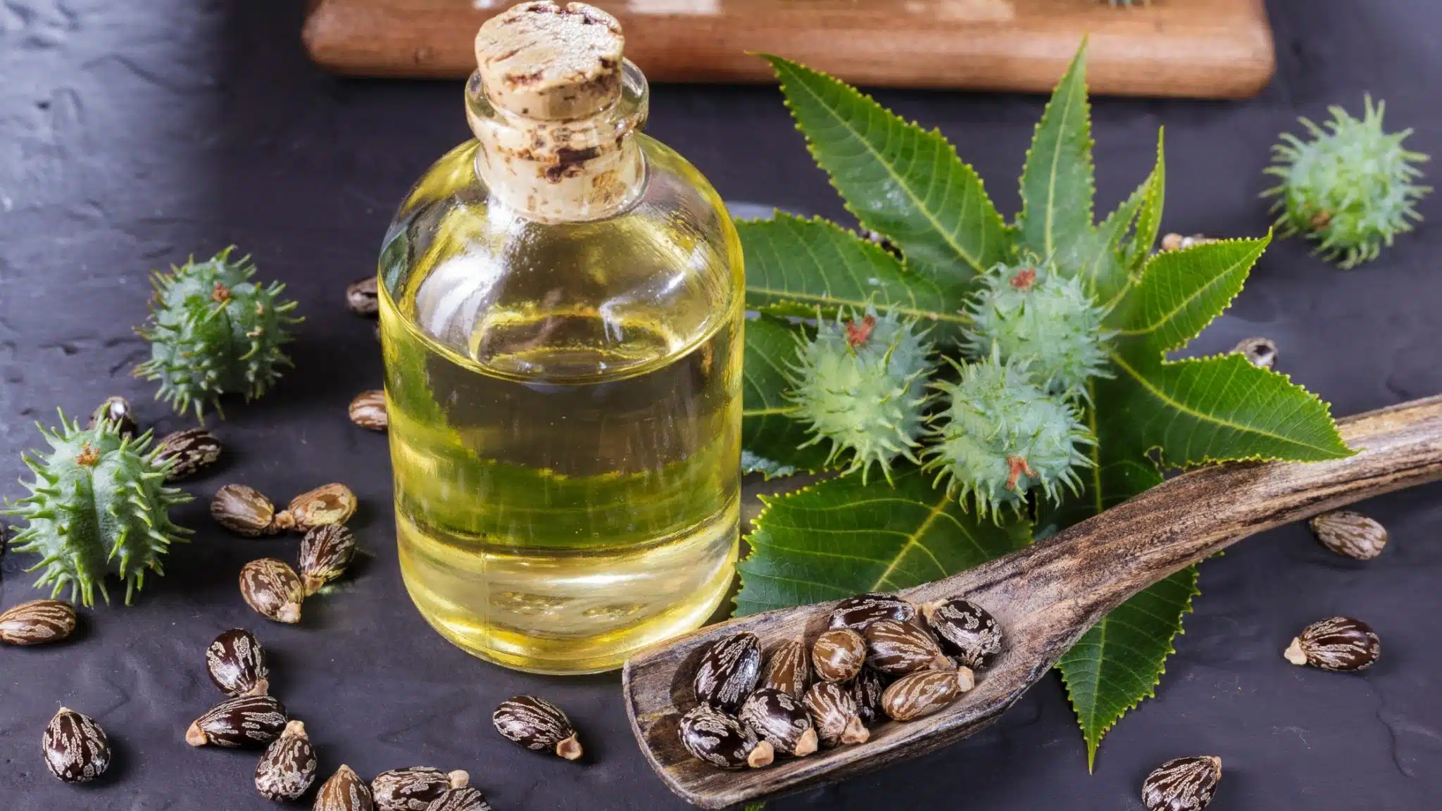 Feuilles de ricin fraîches et huile dans un bol