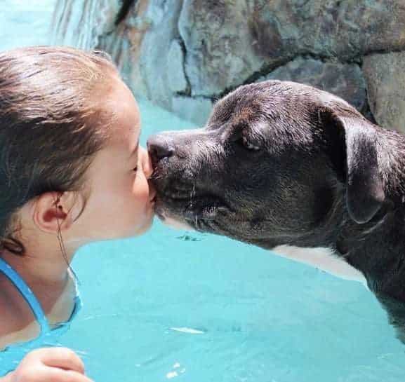 Le chien entouré d'enfants qui le caressent joyeusement