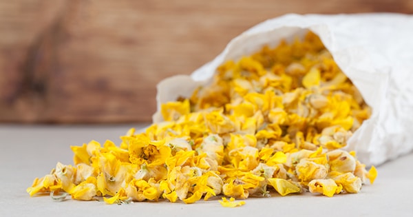 Tisane de molène préparée