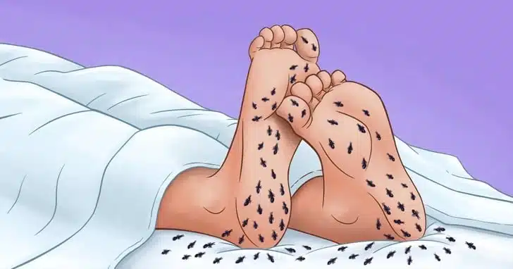 Jambes sans repos et caféine