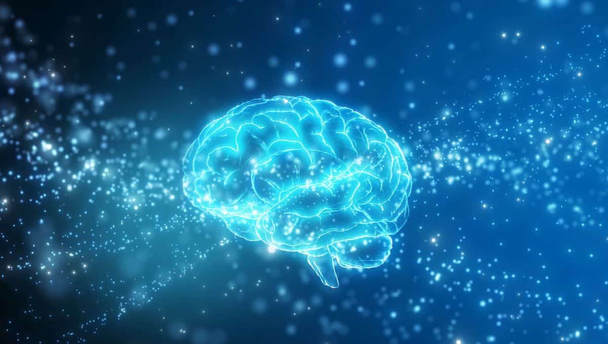 Repr&eacute;sentation sch&eacute;matique du fonctionnement c&eacute;r&eacute;bral face &agrave; une illusion