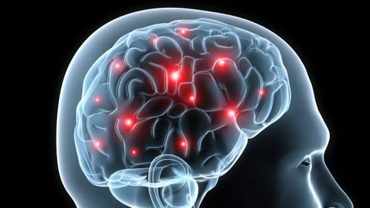 Illustration d'une activité cérébrale montrant les raccourcis mentaux