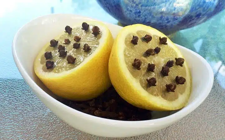 Demi-citron piqué de clous de girofle