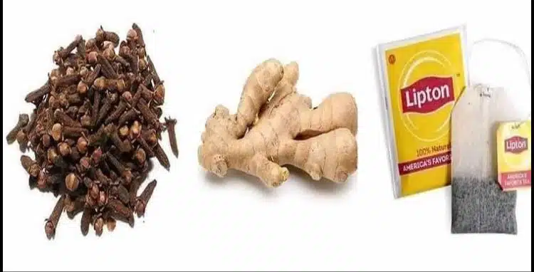 Trio bien-être clou de girofle, gingembre et thé