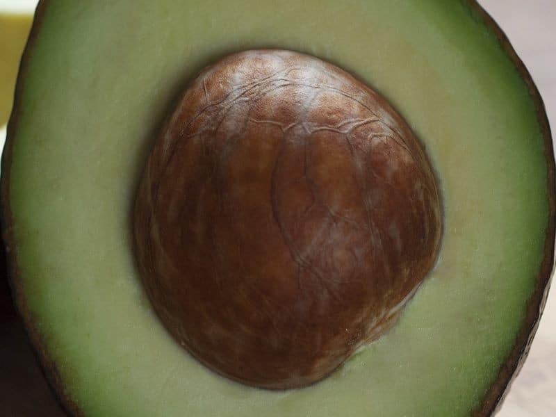 Noyau d'avocat coupé en deux