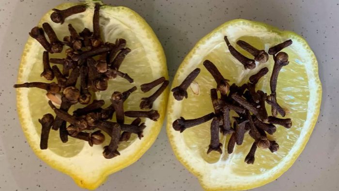 Citron coup&eacute; en deux avec des clous de girofle plant&eacute;s dedans
