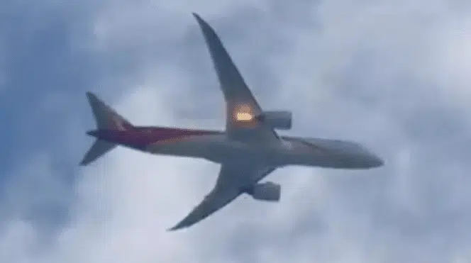 Collision avion-oiseau