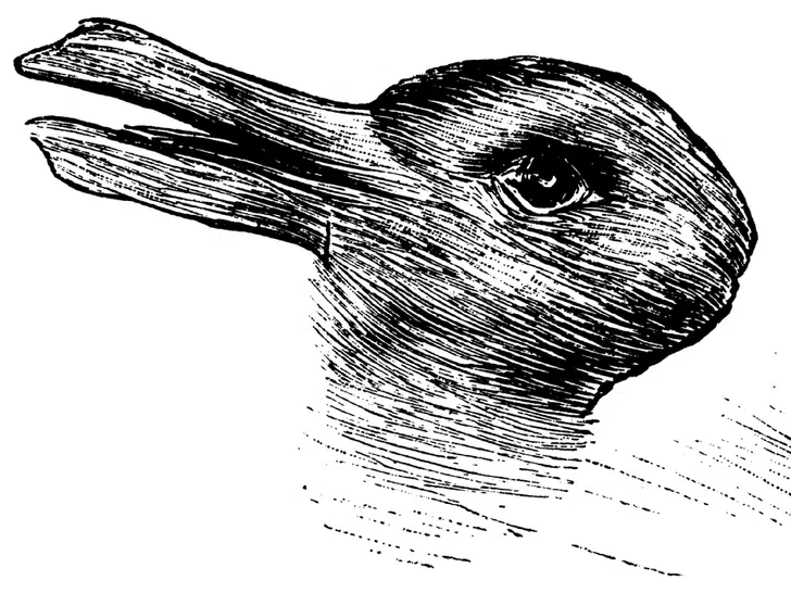 Image de l'illusion d'optique du canard-lapin