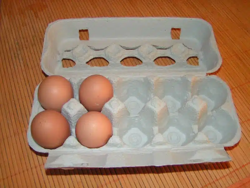 Œufs dans un panier
