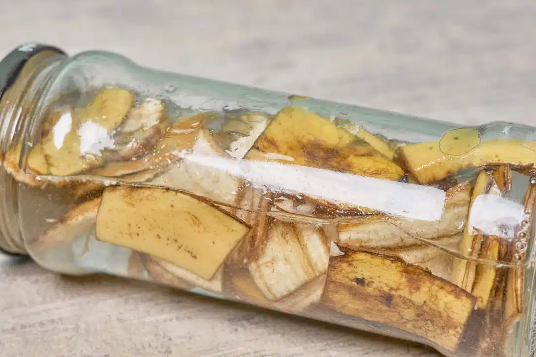 Préparation du liquide dans un bocal en verre avec des pelures