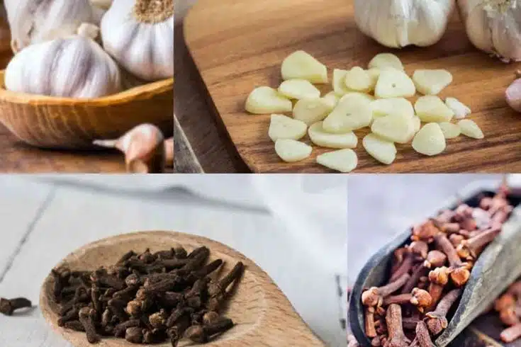 Ingrédients naturels pour la circulation sanguine
