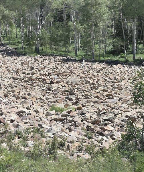 Image d'un paysage naturel avec une femme cachée, défi visuel