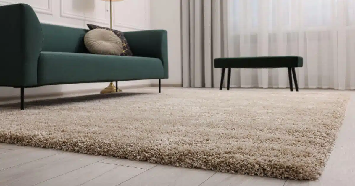 Nettoyage de tapis avec bicarbonate