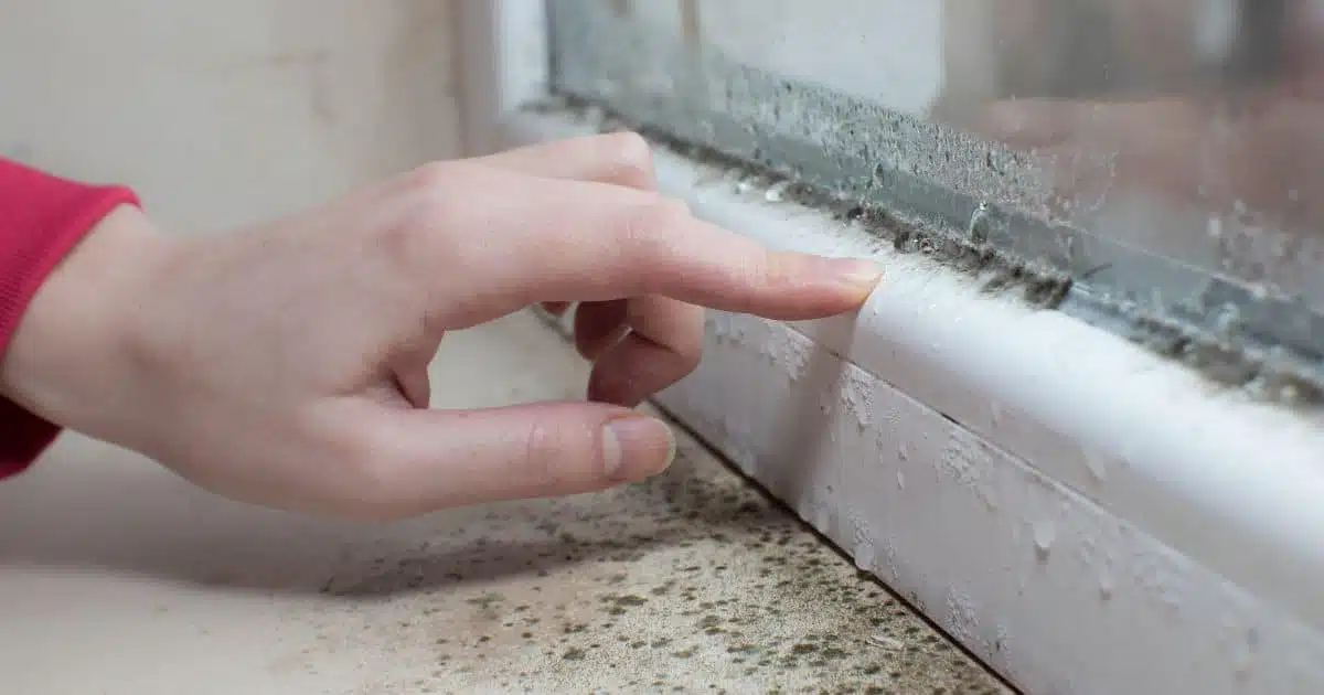 Absorption d'humidité avec bicarbonate