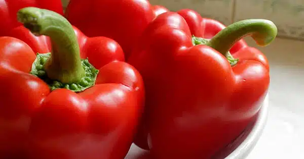 Fruits et légumes vitaminés
