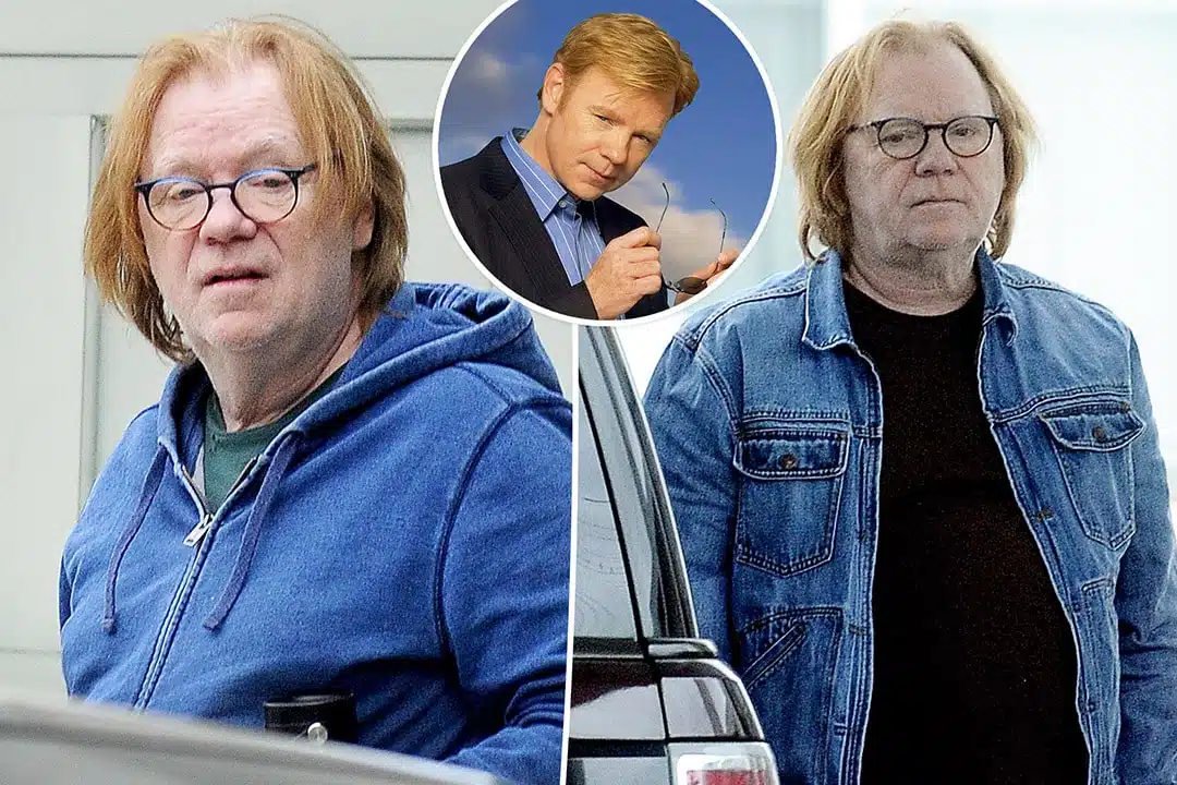 David Caruso en portrait