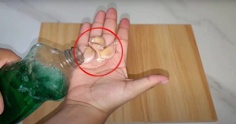 Ail et liquide vaisselle comme répulsif naturel