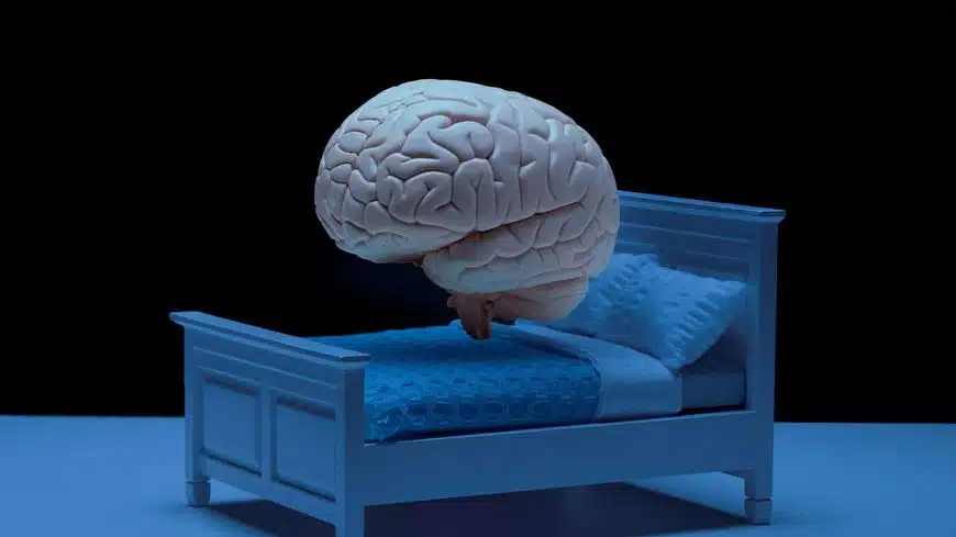 Illustration d'un cerveau en activité la nuit