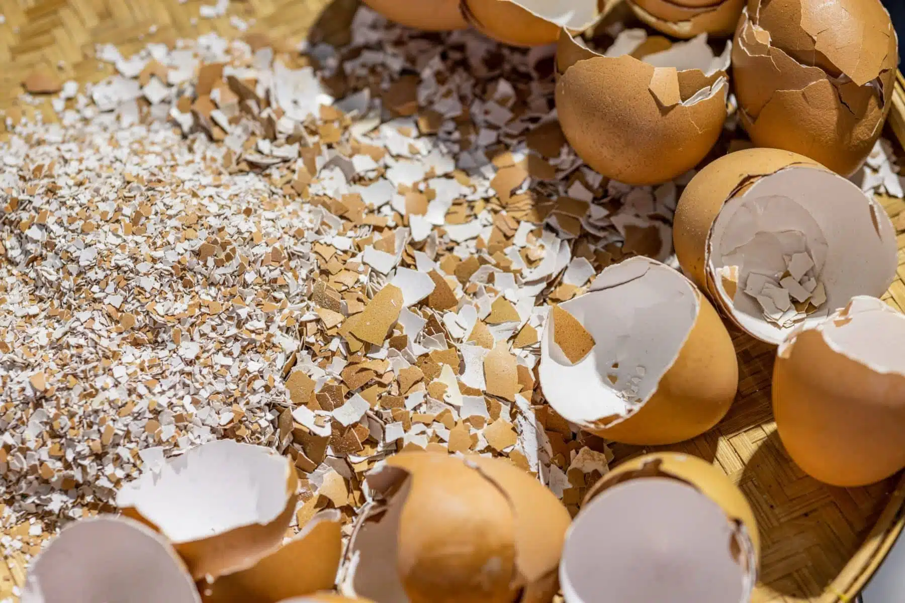 Coquilles d'œufs comme déodorant naturel