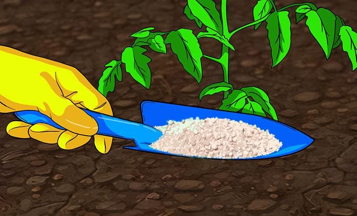 Ajouter de l'engrais