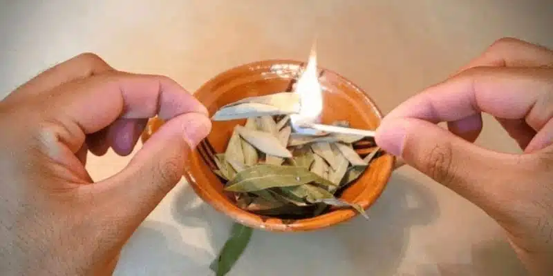 Rituel de purification avec des feuilles de laurier