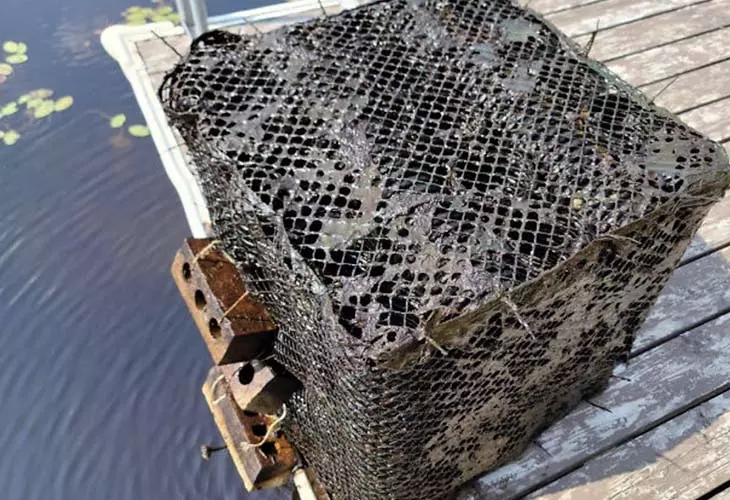 Berceaux à poissons objets utiles sous l'eau