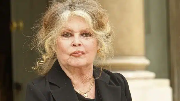 Brigitte Bardot, portrait contemporain