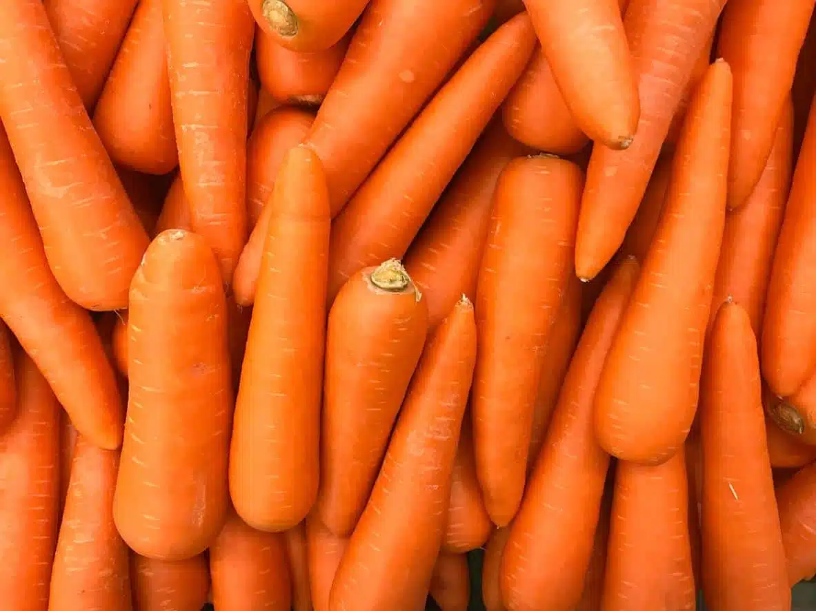 Carottes fraîches sur un plan de travail