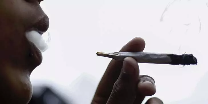 Cannabis après 30 ans précautions à adopter