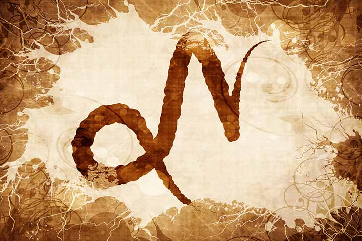 Capricorne - source : spm