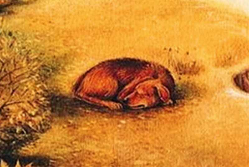 Ce que vous voyez en premier vous r&eacute;v&eacute;lera ce que vous recherchez dans la vie