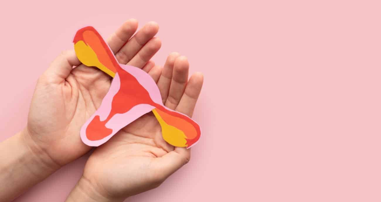 Schéma de l'écosystème vaginal