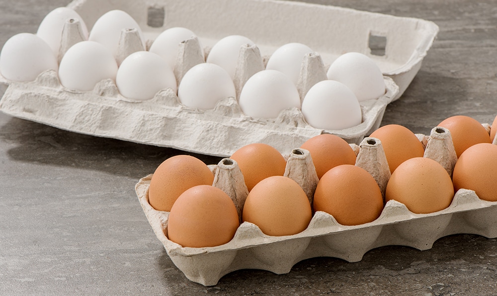 Œufs blancs et bruns dans une boîte