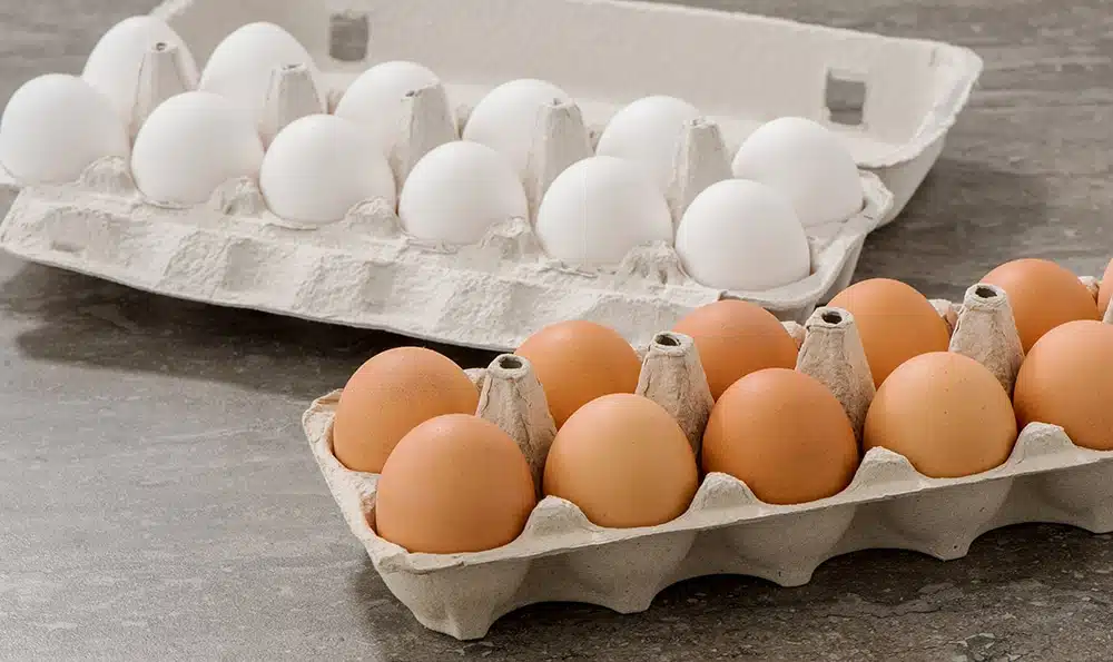 Œufs blancs et bruns dans une boîte