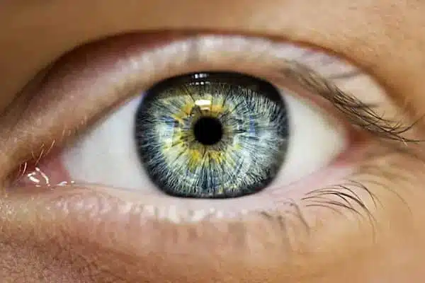Œufs et santé oculaire