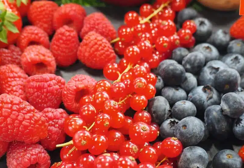 Aliments riches en antioxydants