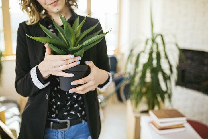 Femme qui tient une plante d’aloe vera – source : spm