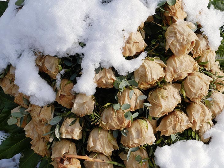 Fleurs pourries – source : spm