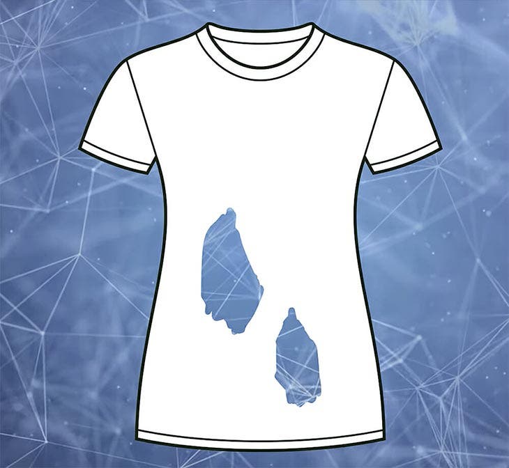 Image de l’énigme visuelle – source : spm