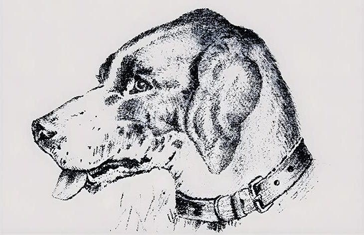 Image de l’énigme visuelle – source : spm