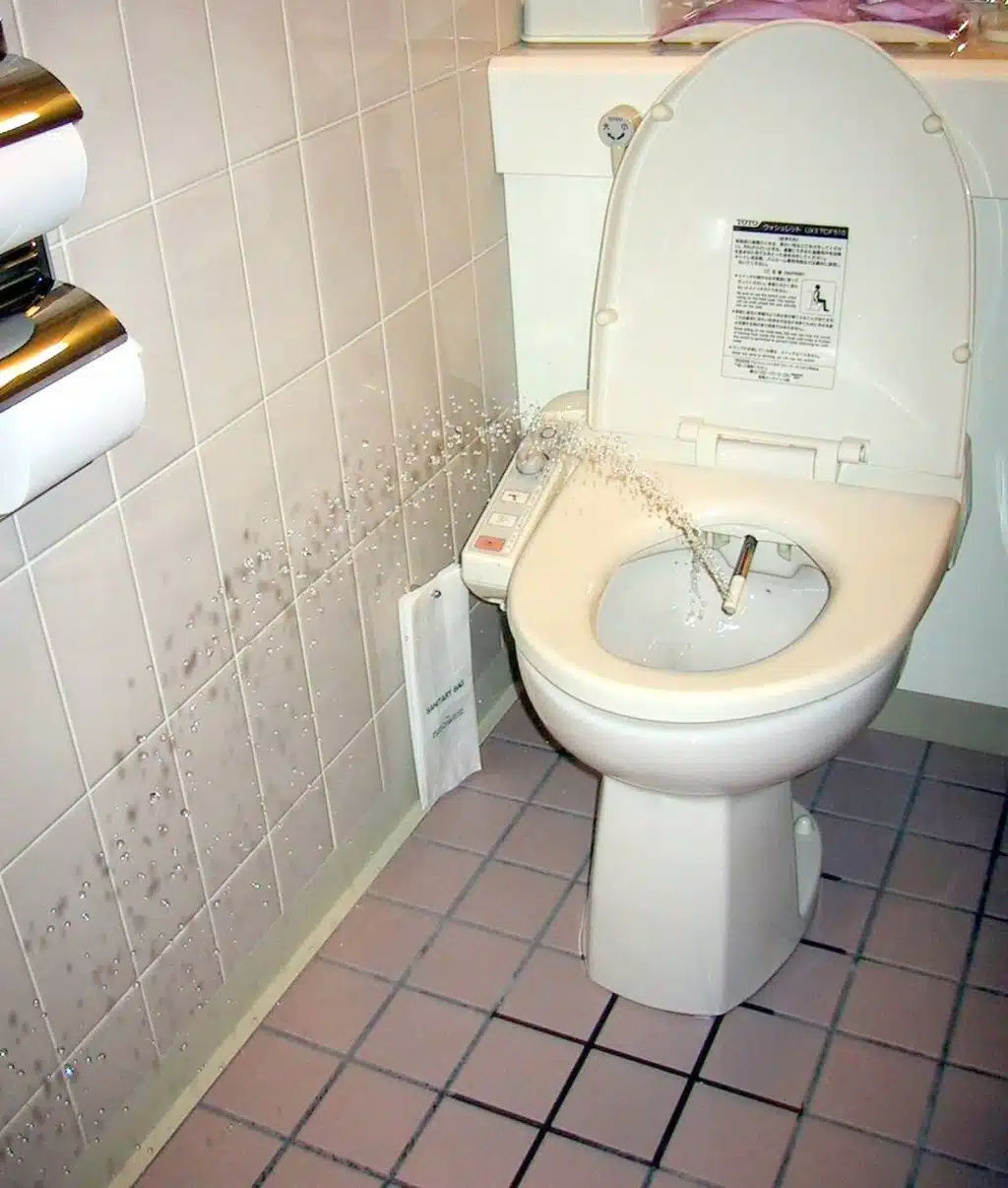 Toilettes japonaises modernes