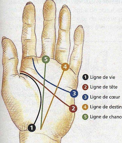 Die Linien auf Ihrer Hand können Geheimnisse über Sie und Ihre Zukunft enthüllen