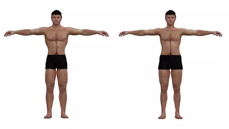 Les scientifiques affirment que le corps de la femme idéale existe et voici à quoi il ressemble
