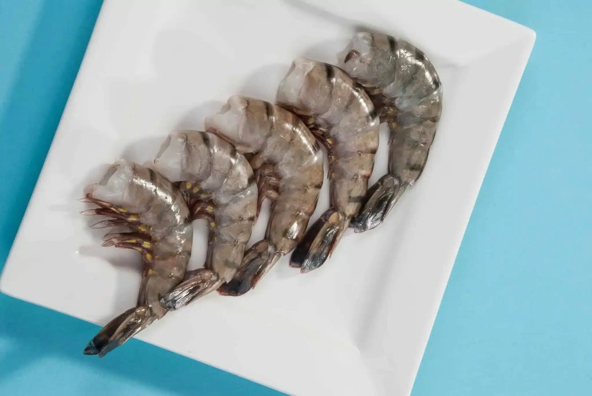 Détail de queues de crevettes avec veine visible