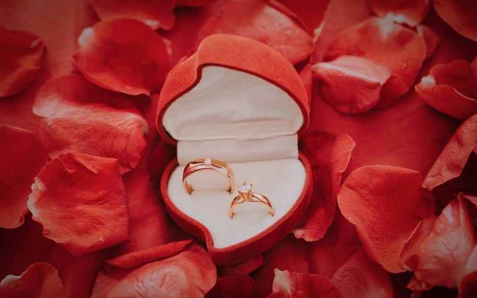 L'homme, d&eacute;sormais bien habill&eacute;, s'agenouille et tend un &eacute;crin &agrave; la jeune femme &eacute;merveill&eacute;e