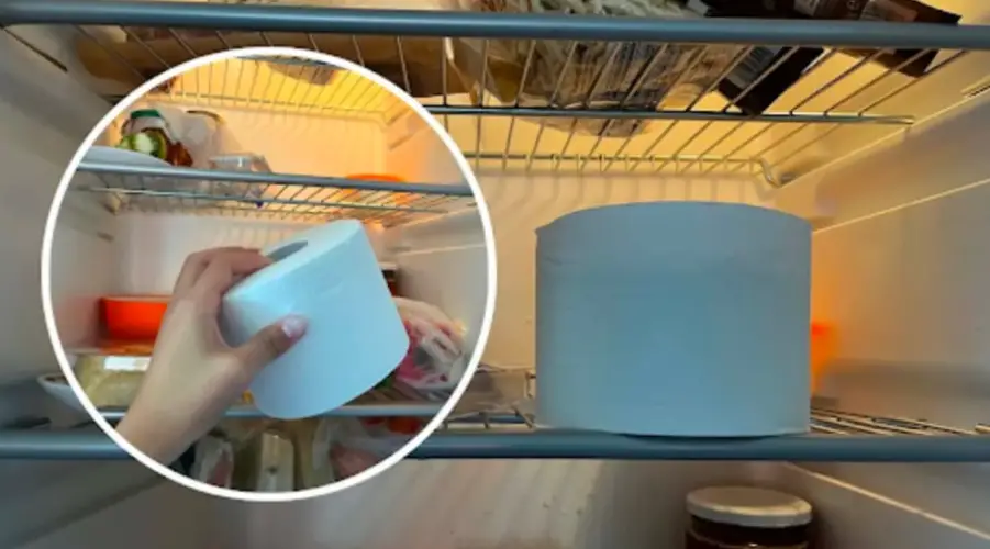 Rouleau de papier toilette placé dans un réfrigérateur