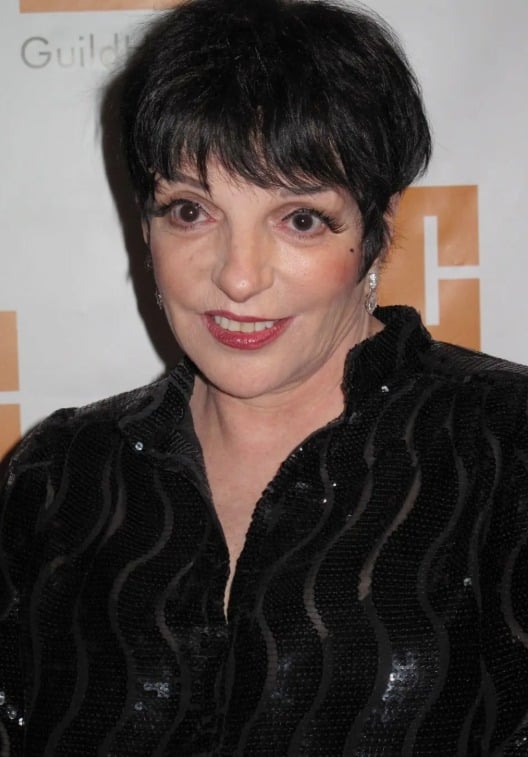 Liza Minnelli en concert, rayonnante