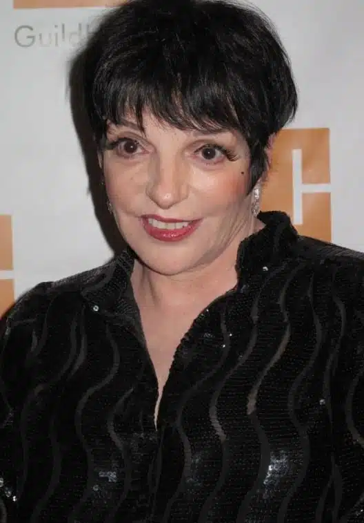 Liza Minnelli en concert, rayonnante