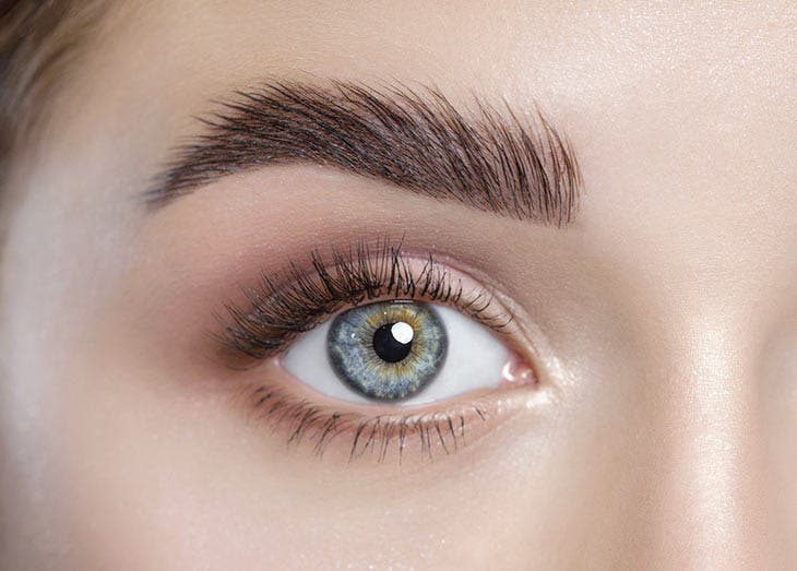 Sourcil &eacute;pais